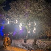 Christmas at Delamere Forest 2022