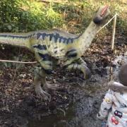 Dinosaurs can be found on the trail