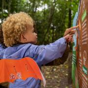 Budding young artists encouraged to show off creative skills at Delamere Forest