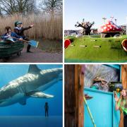 Clockwise from top left: Wind in the Willows, The Ice Cream Farm, BeWILDerwood, Shark exhibit at Chester Zoo