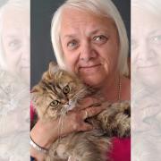 Mid Cheshire's Best for Pets 2023 - Willowsway Cat Rescue