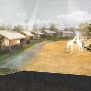 What the proposed overnight lodges will look like at Chester Zoo