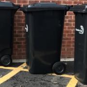 Residents needing larger black bin after new green waste charge will have to pay