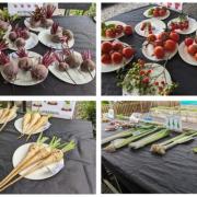 Just some of the produce on display at OAA's annual veg competition