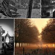 15 spooky scenes spotted around Mid Cheshire for Halloween