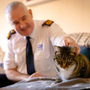 Dermot Murphy, RSPCA inspectorate commissioner, with a rescued cat