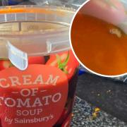 A maggot was found floating in a pot of Sainsbury's tomato soup