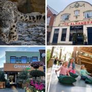 Chester Zoo, Il Padrino, Giuliano, and BeWILDerwood are among the Cheshire businesses competing for the English Hospitality Awards