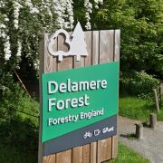 Firefighters were called to Delamere Forest over the weekend