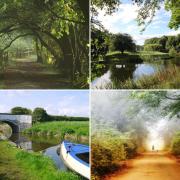 Mid Cheshire strolls to enjoy during May's National Walking Month