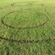 Vandals have ruined the pitch at Winsford Cricket Club