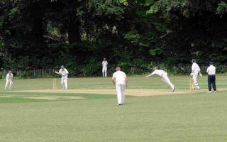 Recreational cricket returns on Saturday, July 11, 2020