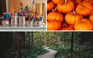 Autumn activities in Cheshire for all the family to enjoy (Canva)