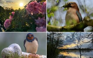 15 of the best photographs taken in Mid Cheshire this April