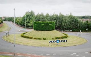 Kingsmead's now famous hedge held photographer Gareth Gardner spellbound